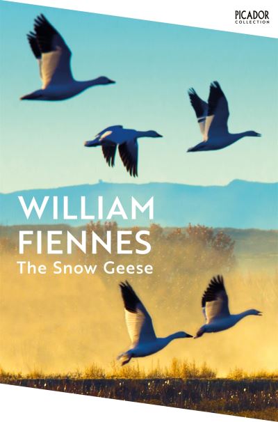 9781035065233.jpg