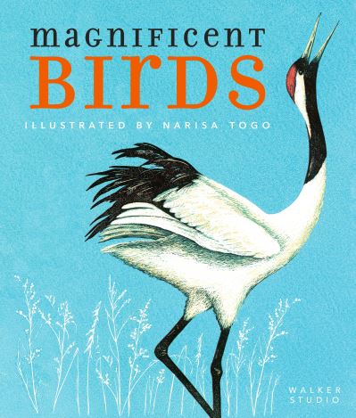 9781406393088.jpg
